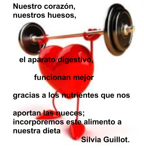 Que nutrientes nos aportan las nueces